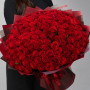 101 красная роза фото 2
